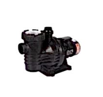 FLORIDA SERİSİ  0,75 HP  Ön Filtreli Pompa (Trifaze)